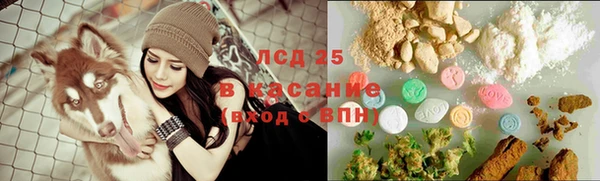 прущие грибы Беслан