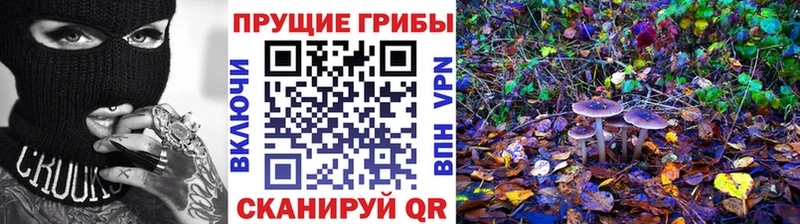 купить закладку  Онега  Галлюциногенные грибы Cubensis 